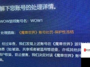 魔兽世界怀旧服，名字违规风险详解