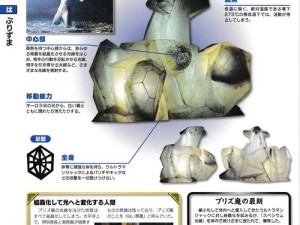 探索原力守护者，揭秘游戏中光球的神奇奥秘