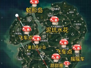 和平精英Z城秋千，浪漫氛围与竞技激情的奇妙交融