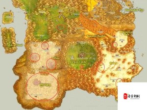 魔兽世界怀旧服探秘，湖畔镇地理位置与资源管理详解