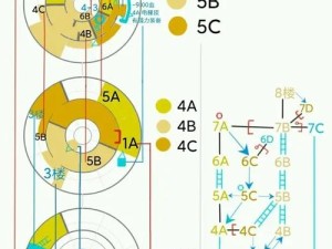 帕斯卡契约谁才是最强角色？全角色加点及玩法深度解析揭秘！