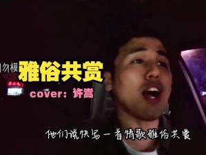 情歌雅俗共赏在资源管理中的重要性及高效应用策略