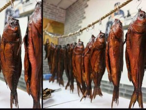 猫语咖啡奇遇记，如何捕捉香肠鱼、榴莲与神秘的彩虹鱼？