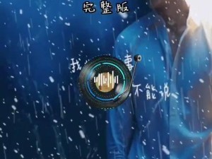 探寻飘雪东京与墨尔本黎明之歌 解析资源管理艺术与策略