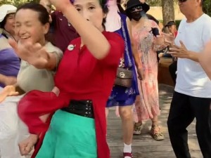 沈阳大姨叫的真好听，网友热议背后的温情故事与独特魅力