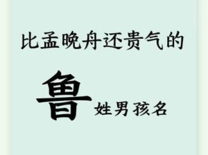 揭秘鲁班姓氏之谜及其在资源管理中的重要性及高效策略