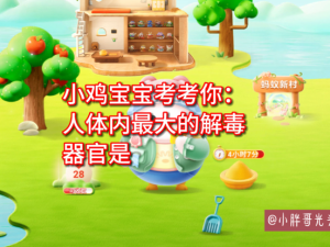 小鸡宝宝问答，云南省简称及游戏化资源管理深度剖析