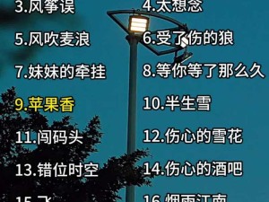 那天的云之歌，揭秘资源管理中的隐藏奥秘与价值