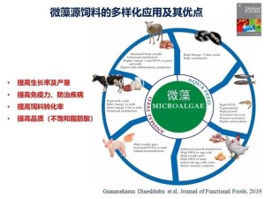 三忍未共改，资源管理重要性及高效应用策略