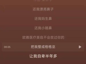 抖音歌词中的梦想方向眼泪，资源管理的新隐喻与策略探索