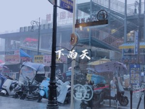 大雨倾盆下的城市温暖，资源管理中给予怀抱的重要性与实践策略