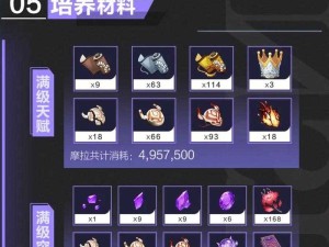 原神角色攻略，九条裟罗的培育方法与实战玩法详解