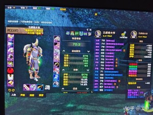 魔兽世界怀旧服战士精进之路，资源管理艺术全解析