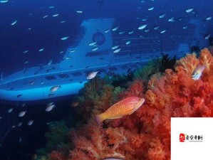 水莓论坛 1：探索未知的神秘世界