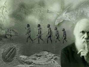 如何通过头颅标本了解人类进化历程？