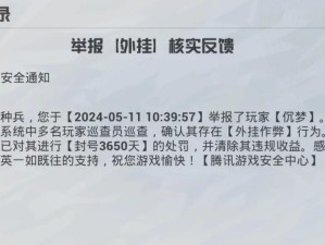 和平精英连点器封号风险，资源管理视角的深度解析