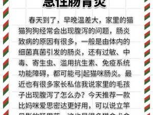 人狗胶配方大全狗狗一天吃多少：全面解析与科学建议