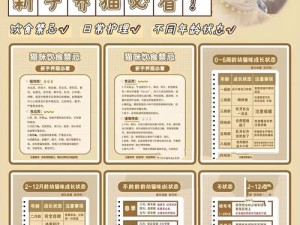 喵与筑大招如何巧妙推荐与使用？揭秘资源管理的高效秘诀！