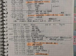 DNF8月6日每日一题答案揭秘，资源管理技巧与高效利用价值最大化