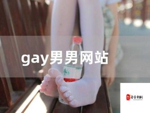 CHINESE 国产男男 GAY 片：探索中国同志电影的独特魅力