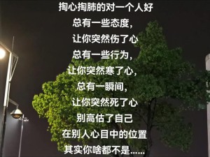 抖音热门旋律大揭秘 爱的就是你形影不离之歌