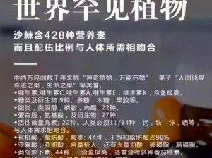 蚂蚁森林的沙棘种植地究竟隐藏在哪些神秘区域？