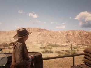 荒野大镖客 2 欧美版：独特西部风情与精彩冒险的极致呈现