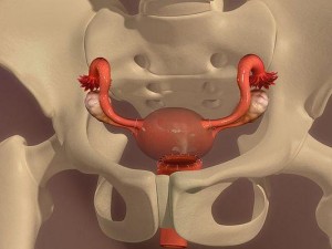 如何看待欧美性 55-60 这一年龄段的性观念和性行为？