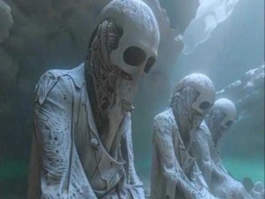 10000 拍拍 18 勿入免费凤凰：揭秘背后的神秘世界