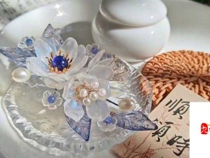 花与剑桃花发簪奇遇，揭秘资源管理的精妙艺术