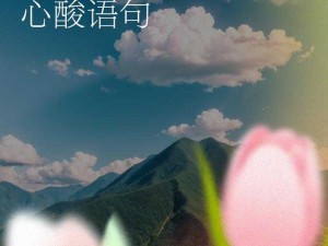 家庭大杂乱经典说说：家是温暖的港湾也是杂乱的战场