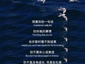 夜夜草人生：挑战与困难交织的旅程