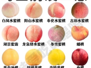 北京 18 号桃：个大味甜汁多口感佳的优良品种特点详述