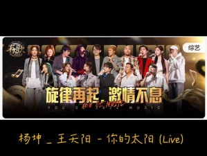 抖音热门歌曲揭秘，与太阳挥手，探讨资源管理高效利用与价值最大化