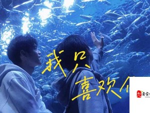 揭秘直到遇见了你我只喜欢你情歌背后的魔力