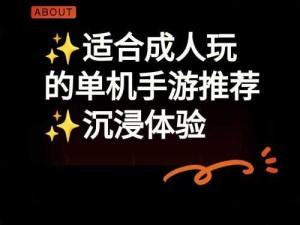 成人单机游戏有哪些之经典与热门作品大盘点