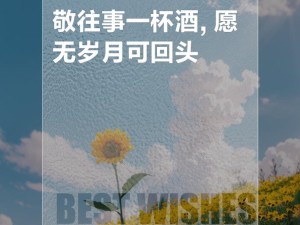 一杯敬往事，河水倒流之喻在资源管理中的应用探索