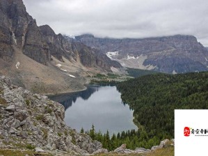 白虎喷潮：自然界的神奇景观令人惊叹不已