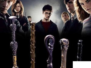 哈利波特魔杖材质大揭秘，木材与杖芯的神奇融合之旅