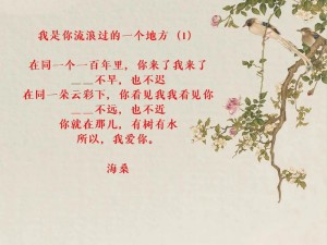 探寻抖音我带着天真去流浪出处歌曲 实现资源管理与价值最大化