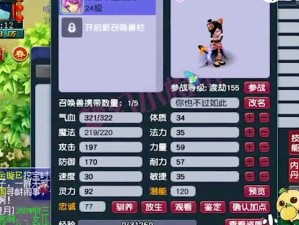 梦幻西游三维版，猫灵技能全解析与高效资源管理策略