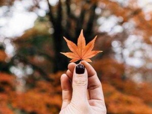 我们未曾远离，揭秘影子习惯中深藏的情感联结