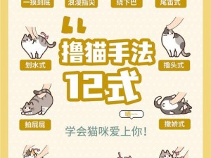 猫宅97玩家必看，如何快速提升好感值，揭秘高效攻略？