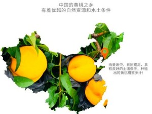 探索桃子植入的10000种黄油：从经典到创新的美味之旅，解锁黄油的多重魅力与实用技巧