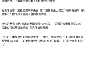 必看！新苍穹之剑洗练技巧大公开，战力飙升的秘密在这里！