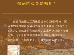 换包子现象背后的社会、文化与经济多维透视
