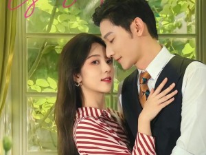 最美情侣中文第 5 季免费观看去哪里？这里有你想要的答案