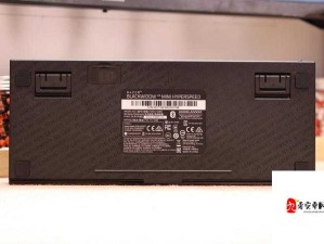 黑寡妇 v3 无线究竟多少入手合适呢