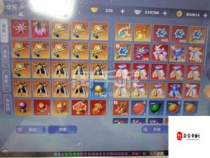 梦幻新诛仙，寅虎神兽竞技场打法与打书攻略深度剖析