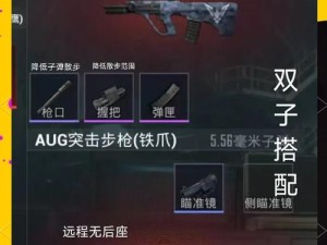 爆肝实测！宝藏世界先锋搭配零基础必看，伤害翻倍的秘密武器！